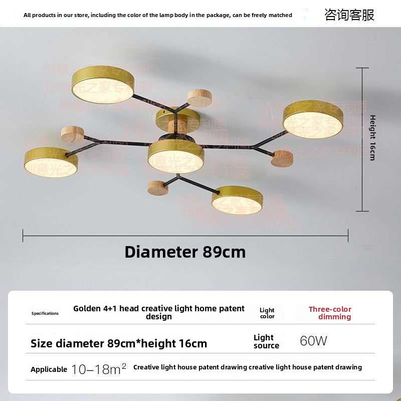 Nordic LED Ceiling Light with Adjustable Color Temperature